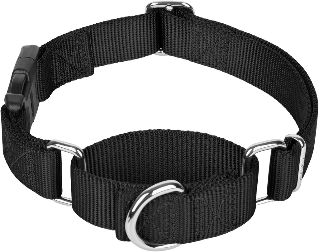 Martingale Collar with Quick Release Buckle for Medium Large Dog