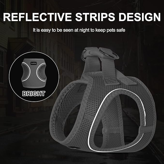 PetiFine Extra Small Step in Dog Harness and Leash Set, Cat Harness and Leash - Image 4