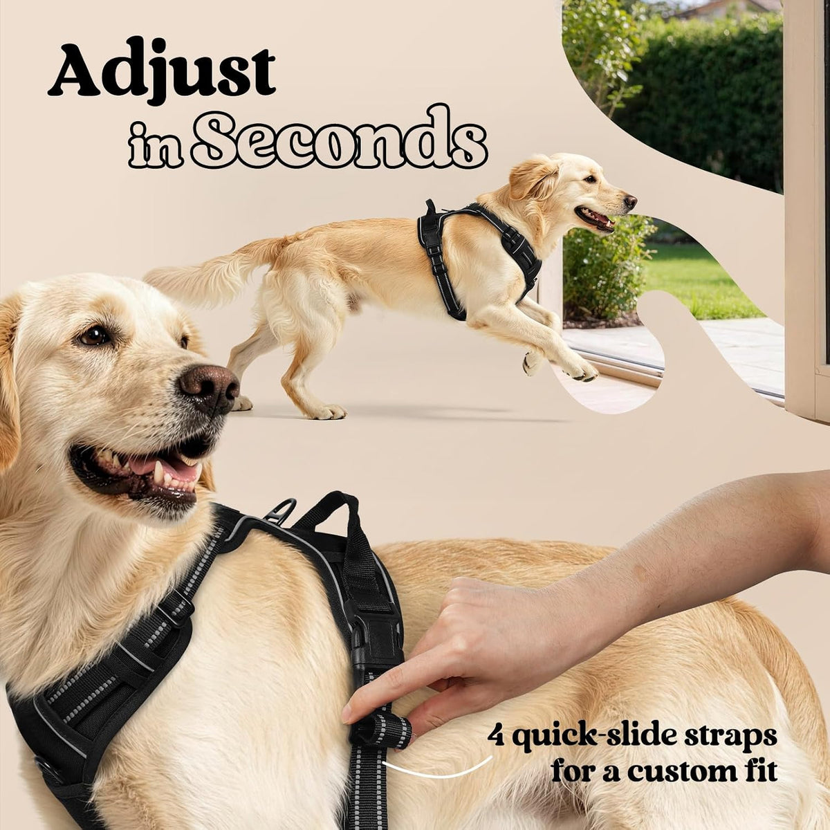rabbitgoo Dog Harness, No Pull Medium Sized with 2 Leash Clips, Pet Vest
