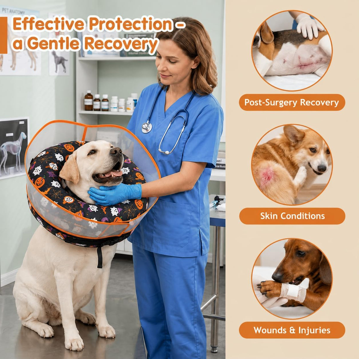 Avont 2-in-1 Dog Cone XL Halloween Shield, Halloween Dog Costume