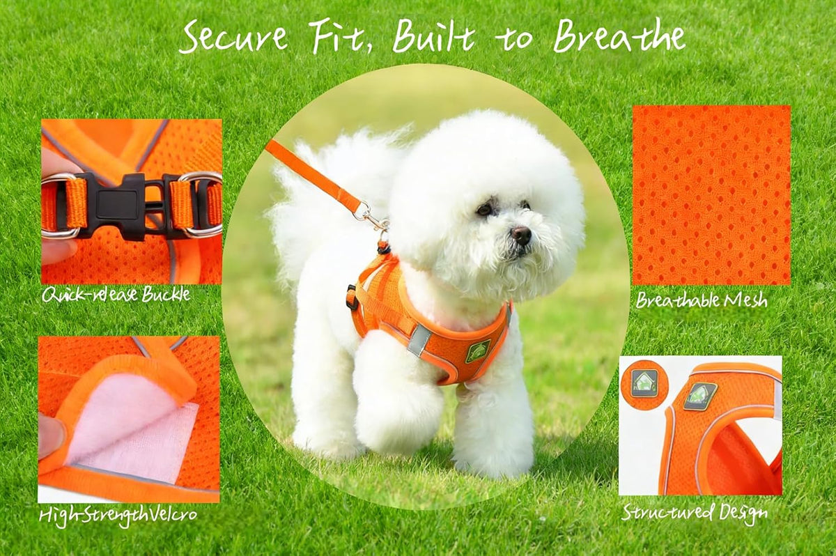 Pet Harness Vest with Leash for Small Medium Dogs Cats-No Pull Step-in Pet Vest Breathable Soft Lightweight Harness and Leash Set for Puppy Kitty Bunny-Orange-XS
