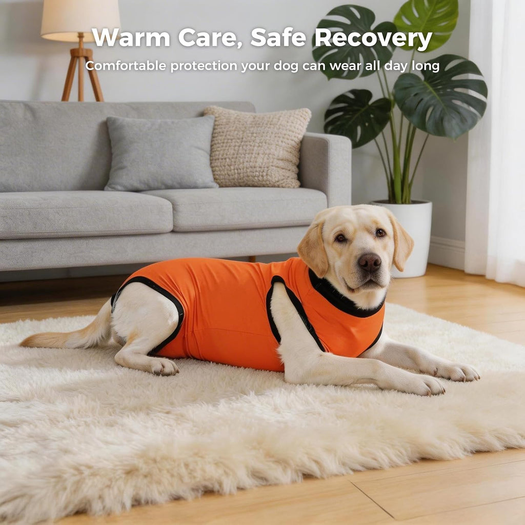Avont Dog Recovery Suit After Surgery Bundle with Inflatable Dog Cone Collar with Transparent Shield