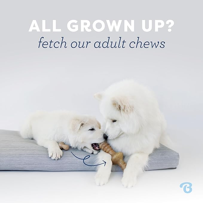 Benebone Puppy Wishbone Durable Dog Chew Toy - Image 5