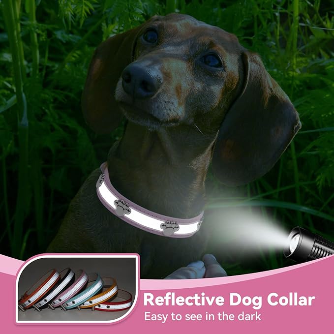 PETCARE Reflective Dog Collar - Image 4