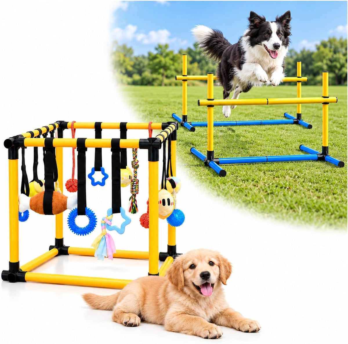 Dog Agility Equipment, 2 Hurdles and Puppy Gym with 12 Toys