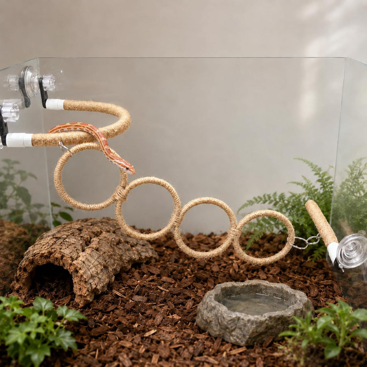 Snake Climbing Perch with 4 Rings and 3 Suction Cup Terrarium Mounts