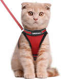 rabbitgoo Cat Harness and Leash Set by rabbitgoo