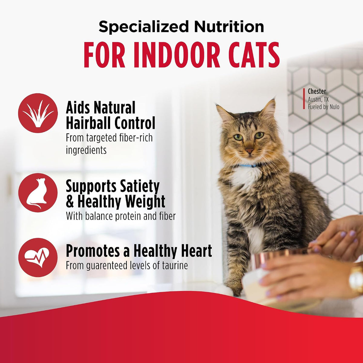 Nulo FreeStyle Dry Cat Food Indoor - Duck & Cod, High Protein Grain-Free Dry Cat Food, Natural Kibble with Probiotics and Omegas Fatty Acids, 4lb Bag