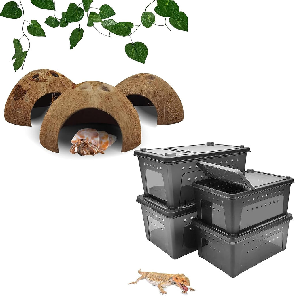 Reptile Hideouts Natural Coconut Shells Hut Hermit Crab Climbing Toys and 2PCS Reptile Feeding Box Snake Breeding Box Transparent Animal Habitat for Bearded Dragon Lizard Spider Frog Scorpio