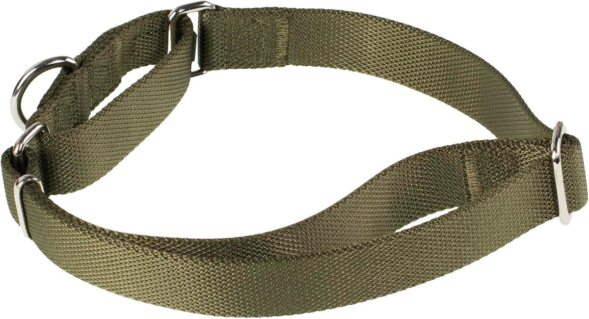Hyhug Martingale Collar for Dogs, Large Green, Escape Proof