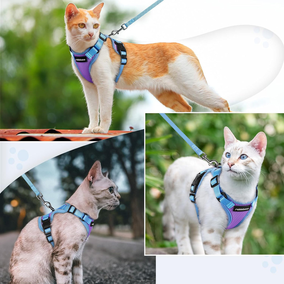 rabbitgoo Cat Harness and Leash Set, Escape Proof, Purple & Blue