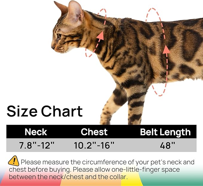 Cat Harness and Leash Set - Image 6