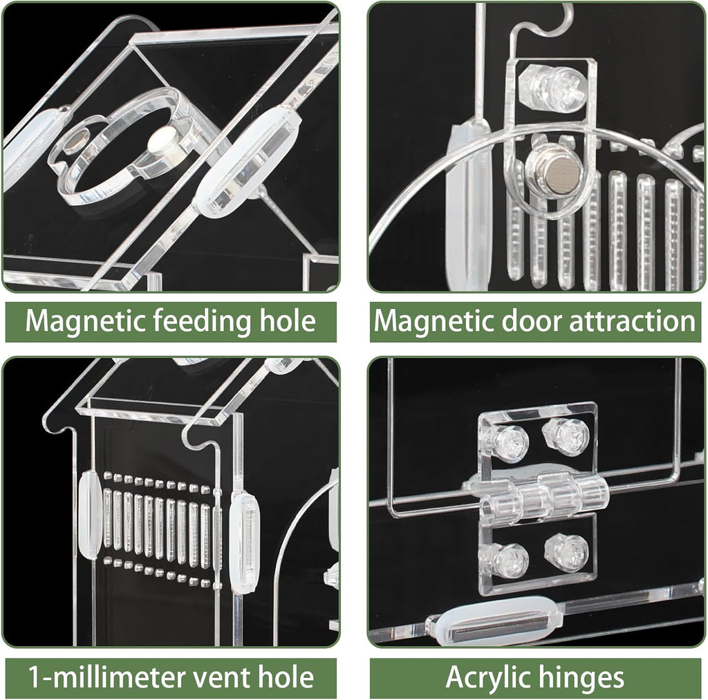 Magnetic Acrylic Terrarium for Jumping Spiders & Small Pets – Easy-Access Front Opening, Feeding Hole, Ideal for Reptiles, Tarantulas, Hermit Crabs & More