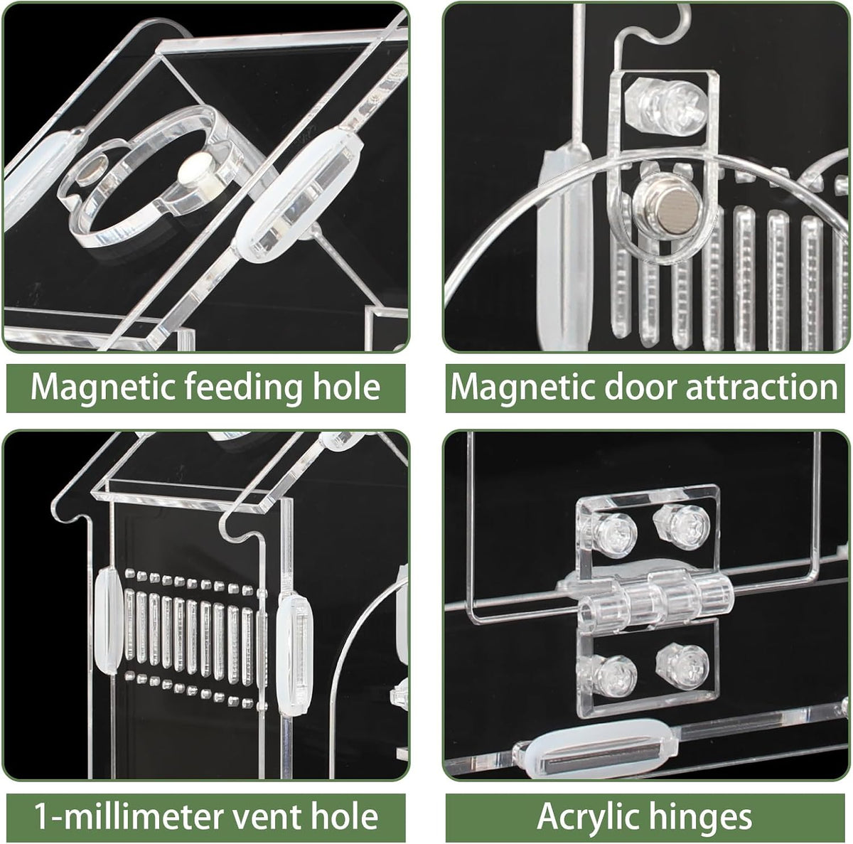 Magnetic Acrylic Terrarium for Jumping Spiders & Small Pets – Easy-Access Front Opening, Feeding Hole, Ideal for Reptiles, Tarantulas, Hermit Crabs & More