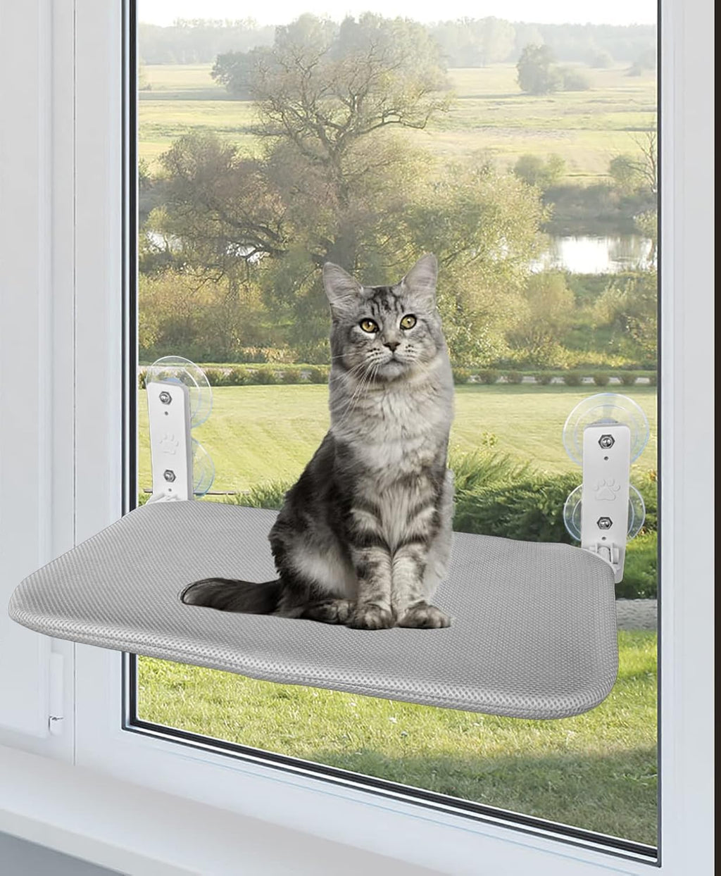 Family Safe Cordless Portable Foldable Cat Window Perch Hammock with Metal Frame, Strong Suction Cups, and 2 Fabric Covers for Indoor Cats - Medium