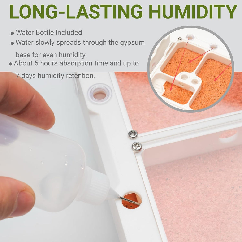 StackCore Stackable Series - White Habitat Combo (Flat Ant Nest) with Starter Tool Kit