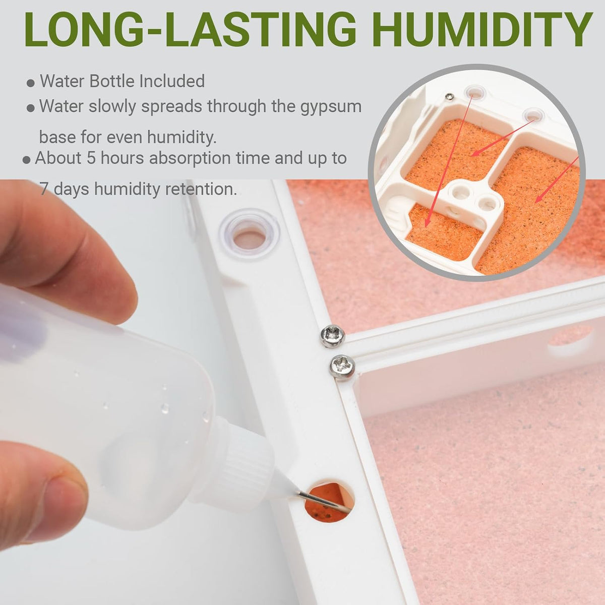 StackCore Stackable Series - White Habitat Combo (Flat Ant Nest) with Starter Tool Kit