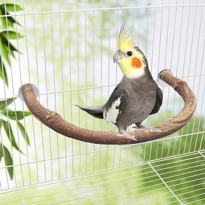 2 Pack Bird Perch Stand, Natural Wood U Shape Parrot Stand Pole, Bird Cage - Image 4