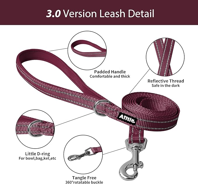 AIITLE No Pull Dog Harness and Leash Set, Christmas Step in Adjustable Dog - Image 6