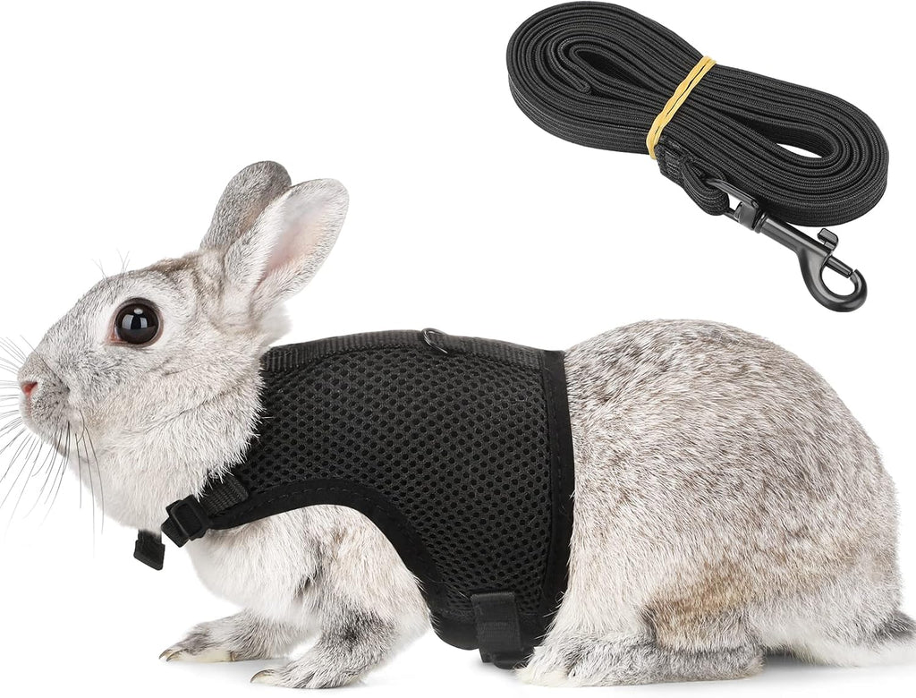 PETTOM Bunny Rabbit Harness with Stretchy Leash Cute Adjustable Buckle Breathable Mesh Vest for Kitten Small Pets Walking (Blue,XS)