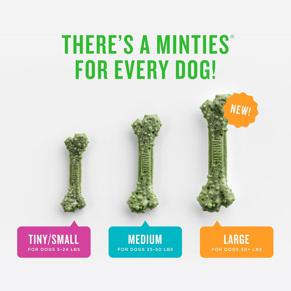 Minties Mint Dental Chews for Dogs, Medium Breeds 25-50 lbs, 50 Count