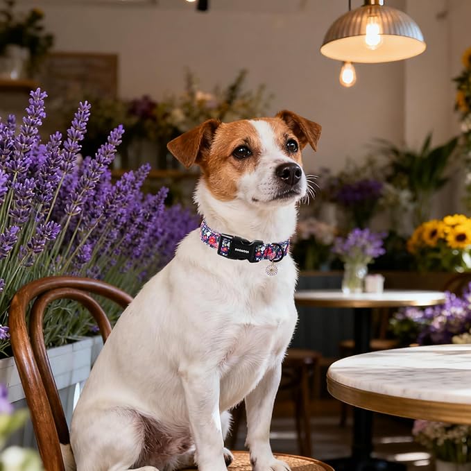 DOGWONG Blue Flower Dog Collar, Cute Adjustable Floral Collar, Girl Female Dog - Image 5
