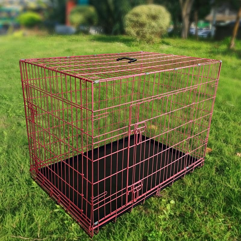24-Inch Folding Metal Dog Crate for Small Breeds – Double Door, Removable Tray, and Carry Handle – Ideal for Indoor - Pink