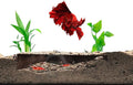 Shrimp Breeding Protector | Shrimp Breeding Cave Aquarium Tunnel | CTWPets by CTWPets