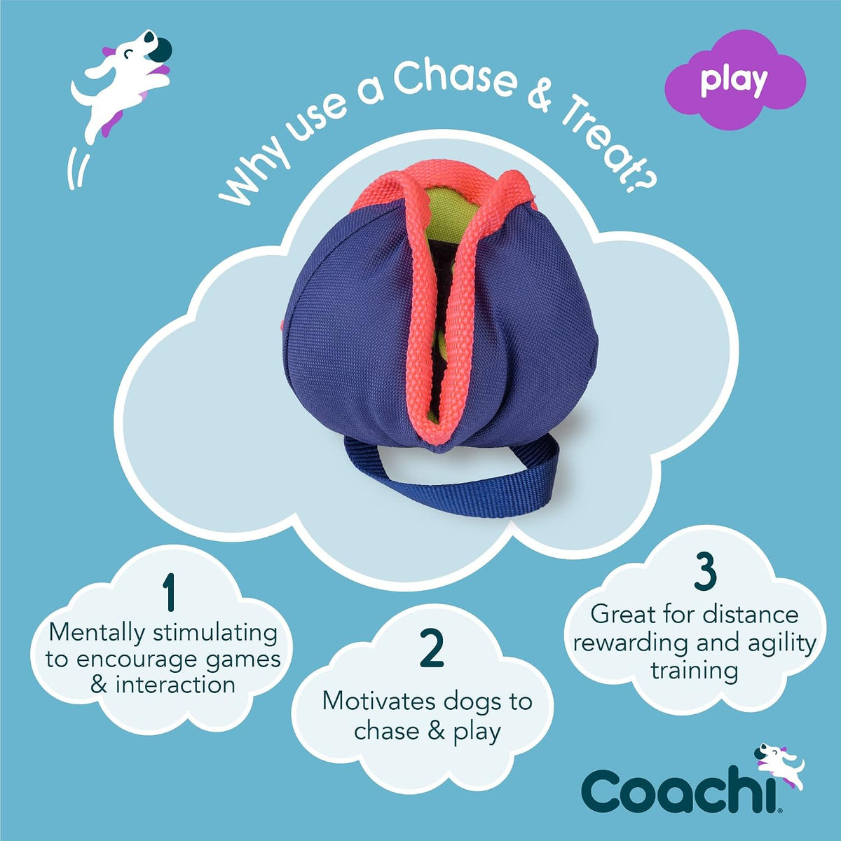 Company of Animals Coachi Chase & Treat - A Fun Enrichment Dog Toy