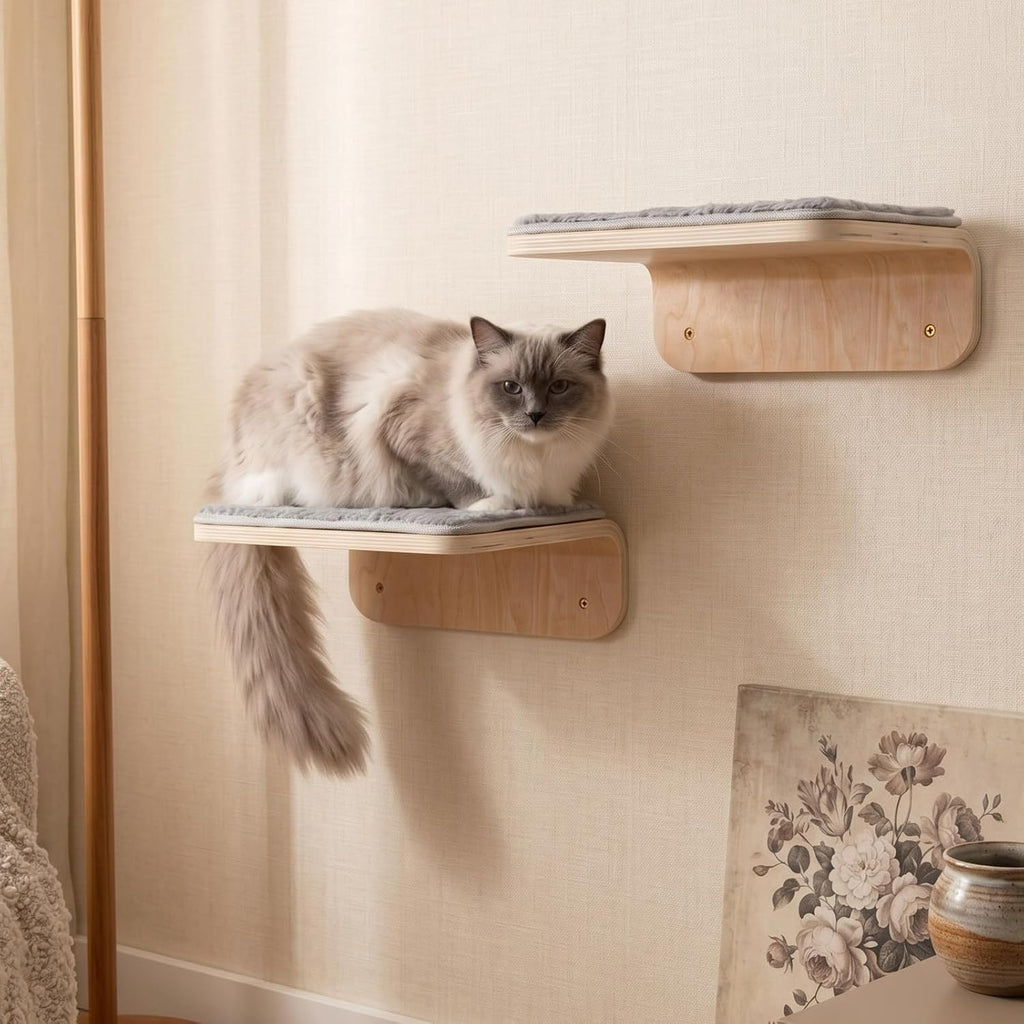 Wenqik 2 Pcs Cat Steps for Wall, Wooden Cat Climbing Shelf 10 x 10 x 4 Inch
