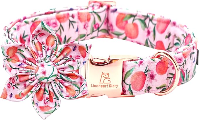 Lionheart Glory Pink Peach Dog Collar by LionheartGlory