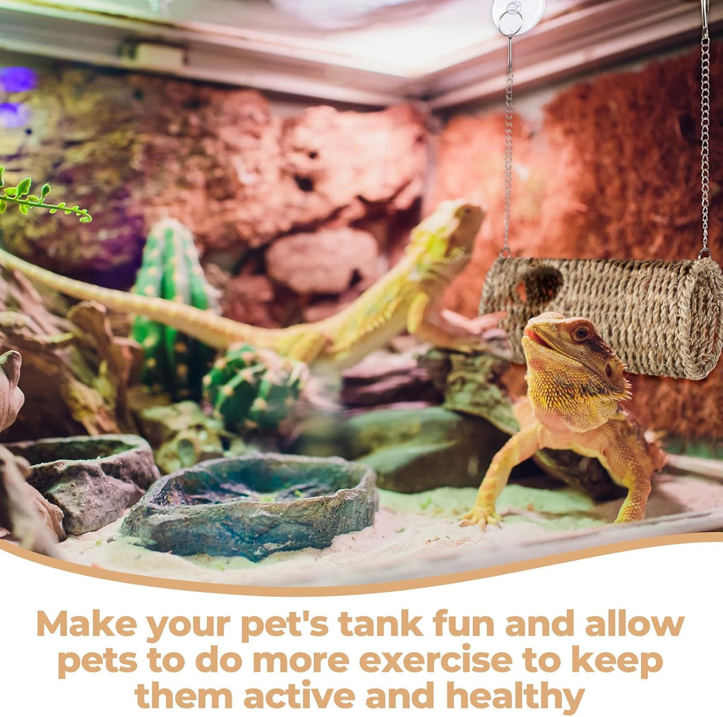 CroBlissful Bearded Dragon Tank Accessories