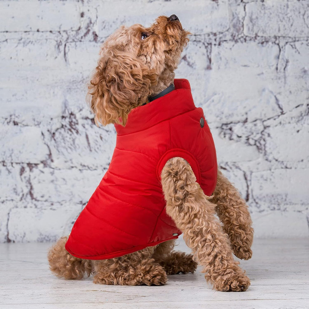 Syhood 2 Pcs Dog Jacket Fleece Lined Windproof Winter Coat, Navy,Red, L