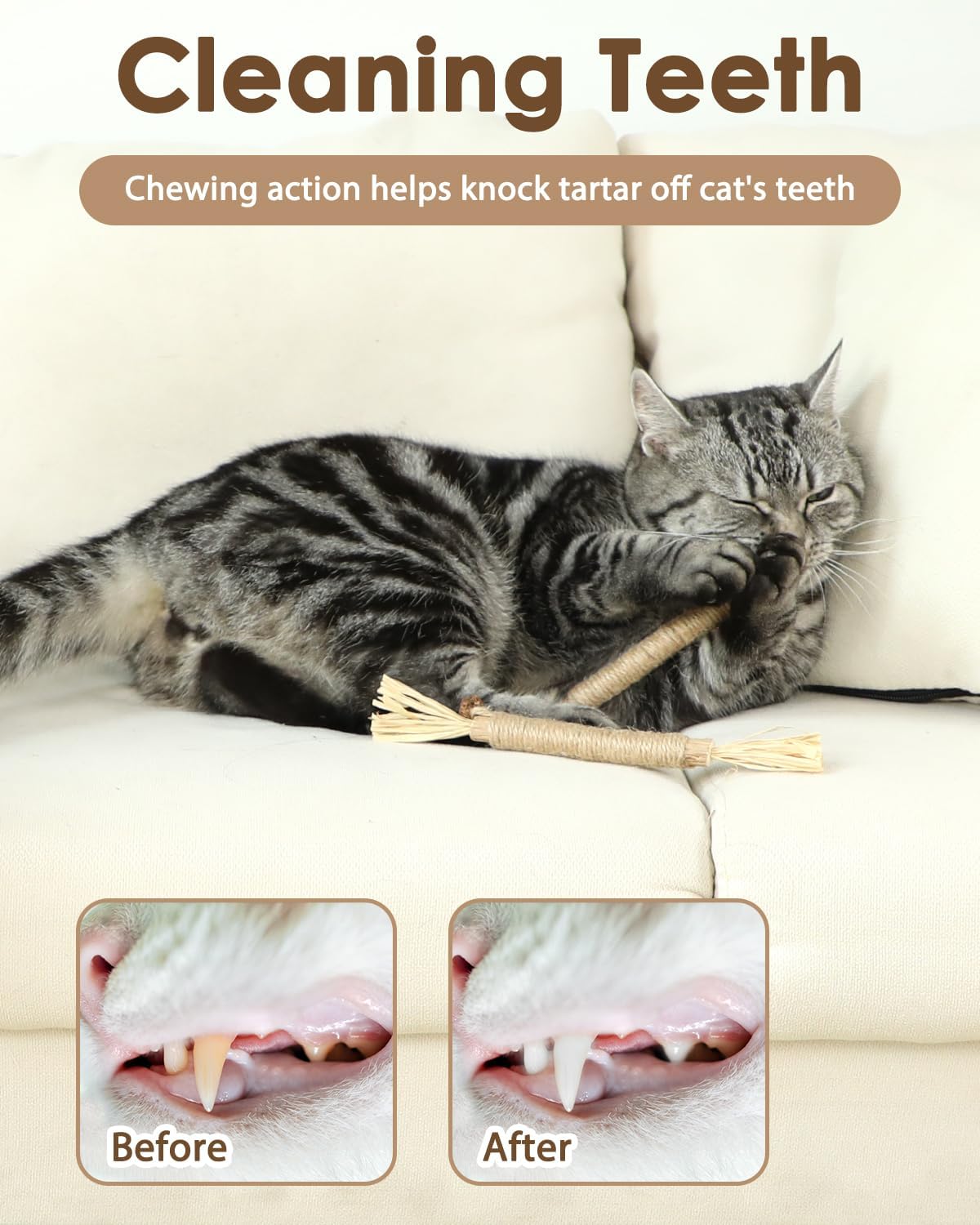Tocirelo Silvervine Stick for Indoor Cats, Kitten Chew Toys