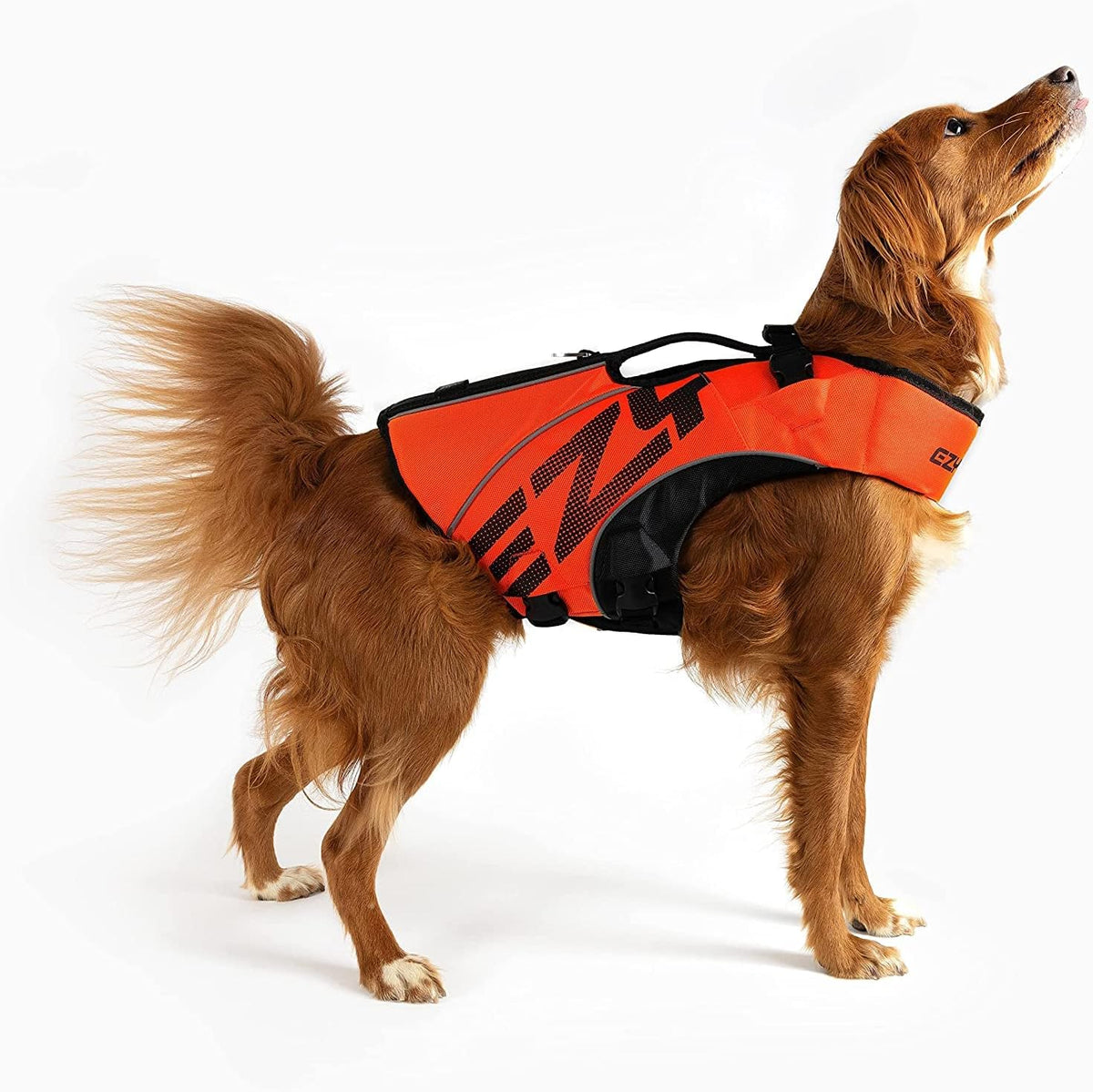 EzyDog DFD X2 Dog Life Jacket, Grab Handle, Reflective Trim - XL, Red