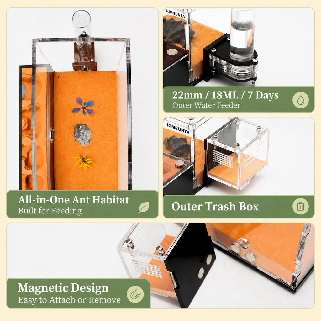 Terra Core M Ant Nest with Starter Kit 9 x 8 x 4.33 in