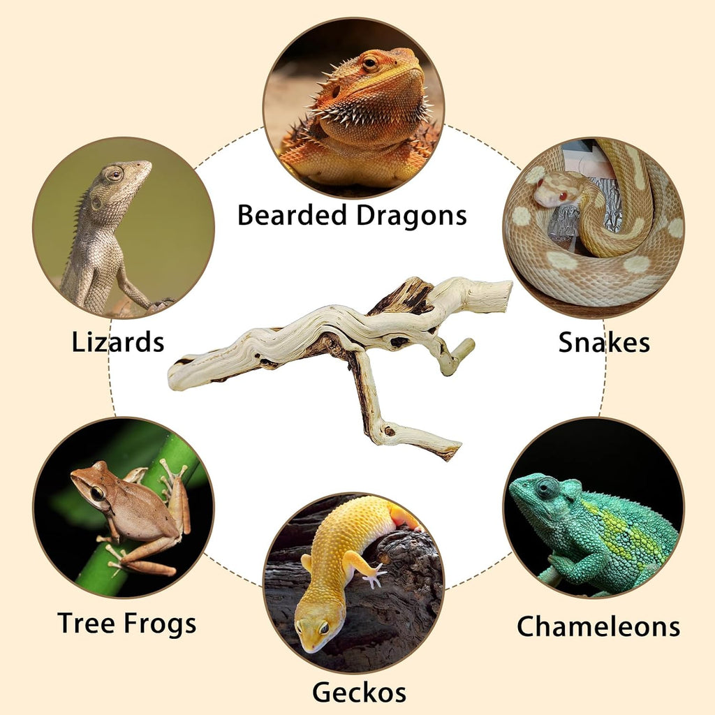 BNOSDM Reptile Branches, 11.5-14.1inch Snake Climbing Branch, Terrarium Wood Branch Decor, Bearded Dragon Tank Climbing Accessories for Lizard, Gecko, Frog,Chameleon