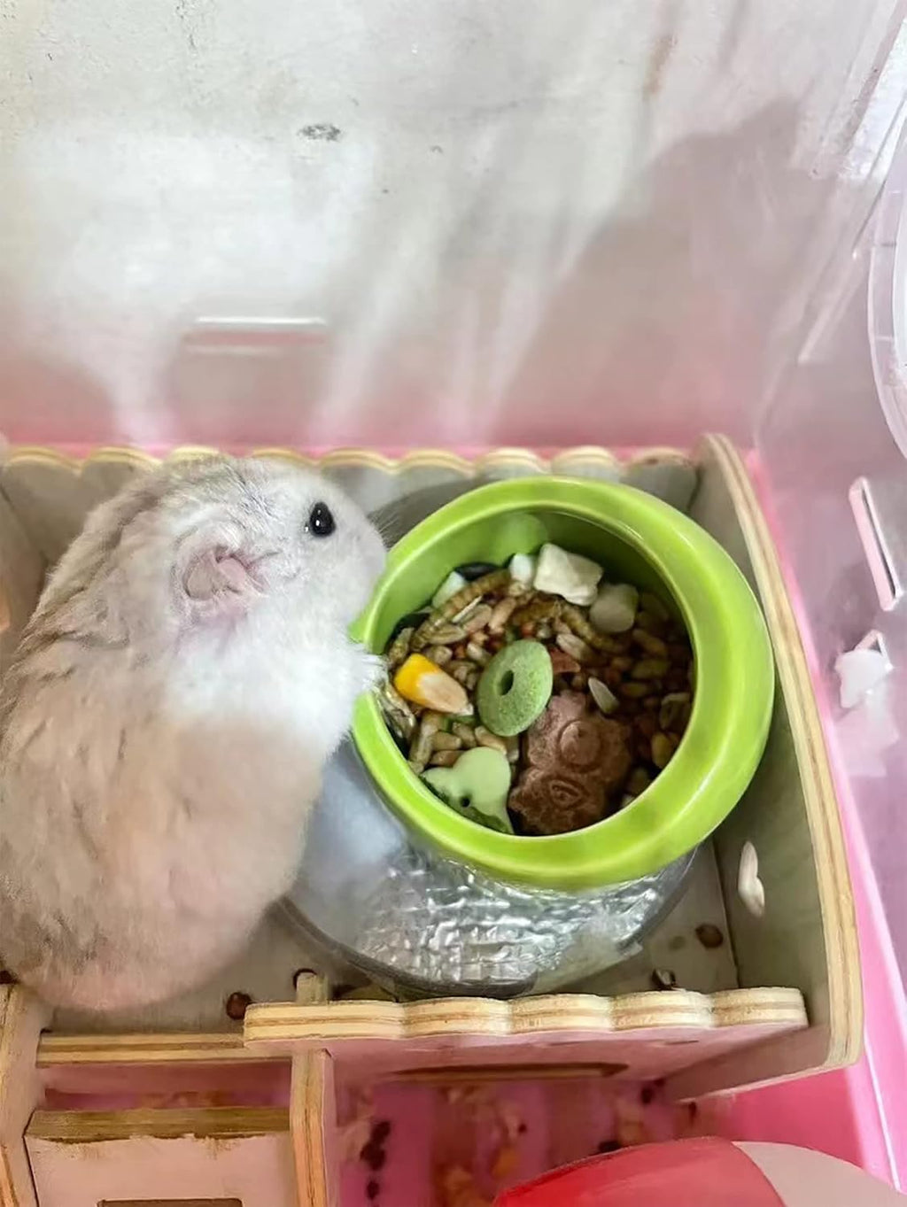 6 Pcs Hamster Ceramic Bowl, Food Dish Feeder Prevent