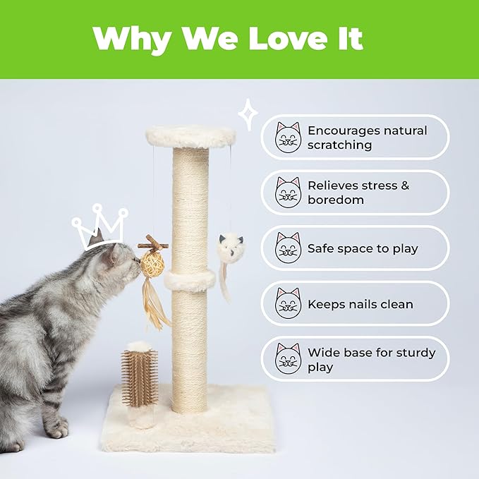 Best Pet Supplies Catify Cat Scratcher, Fun Interactive Scratchers, Claw Safe - Image 6