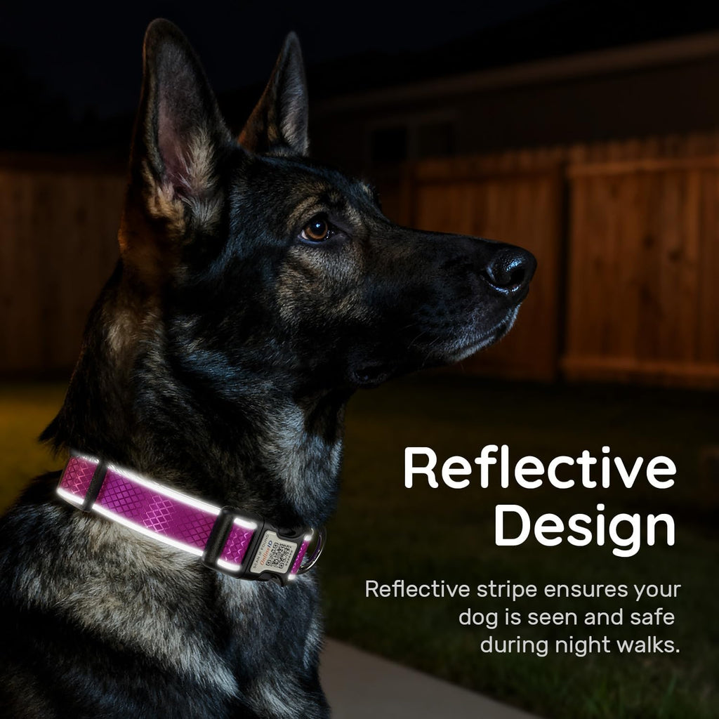 Personalized Dog Collar with QR Code Dog Tag, Purple,
