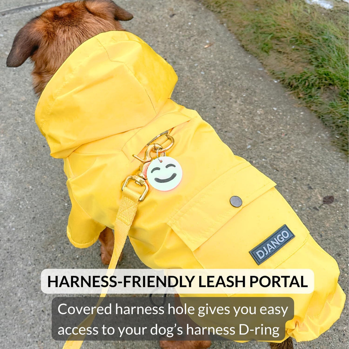 DJANGO Highland Dog Raincoat & Soft-Lined Rain Jacket - Yellow, Medium