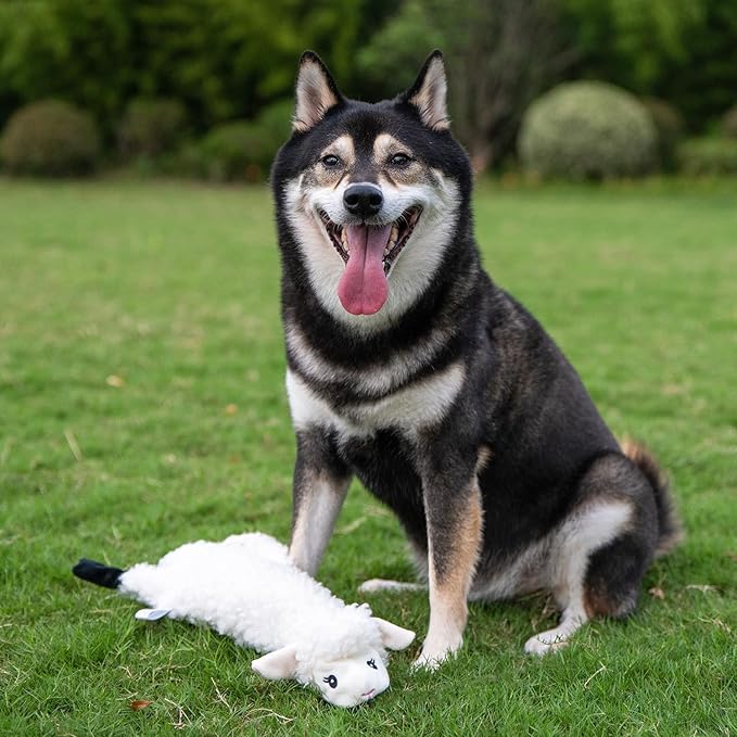 Best Pet Supplies Squeaky Dog Toys - Image 7