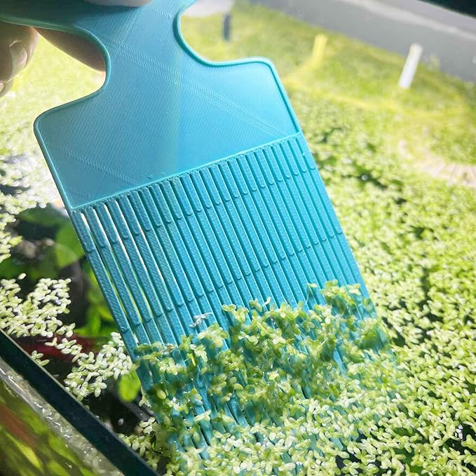 Aquarium Duckweed Removal Tool, 6.5 x 3 inch Floating Plant Comb Spatula by 3DAquaticSolutions