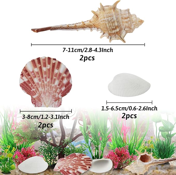 Aquarium Plants with Natural Decorations Shells - Image 3