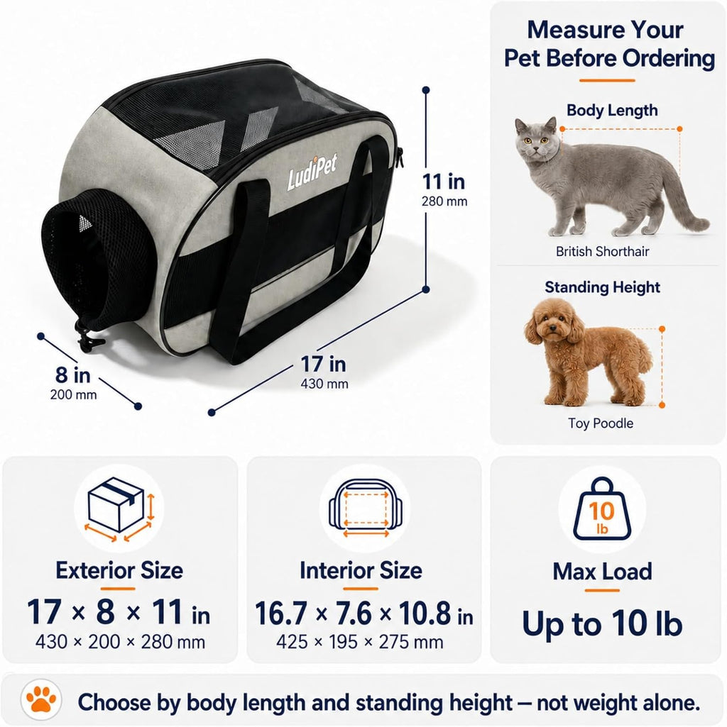 Airline-Friendly Pet Carrier for Cats and Small Dogs, Gray