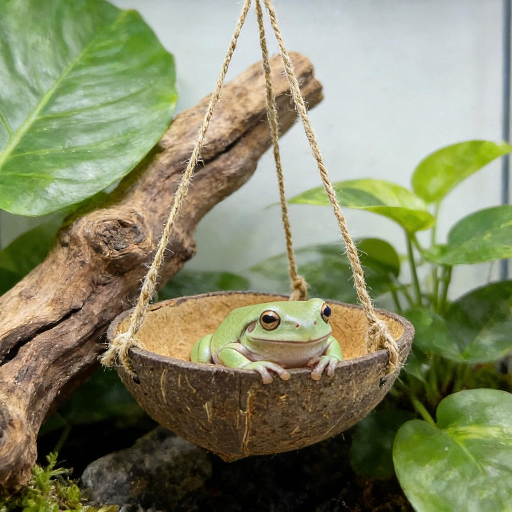 Natural Coconut Shell Frog Swing Toy, Reptile Hammock Bed with Hanging Rope & Metal Buckle, Terrarium Habitat Decor Accessories for Lizard Gecko Bearded Dragon Hamster Birds Hermit Crab Bearded Dragon