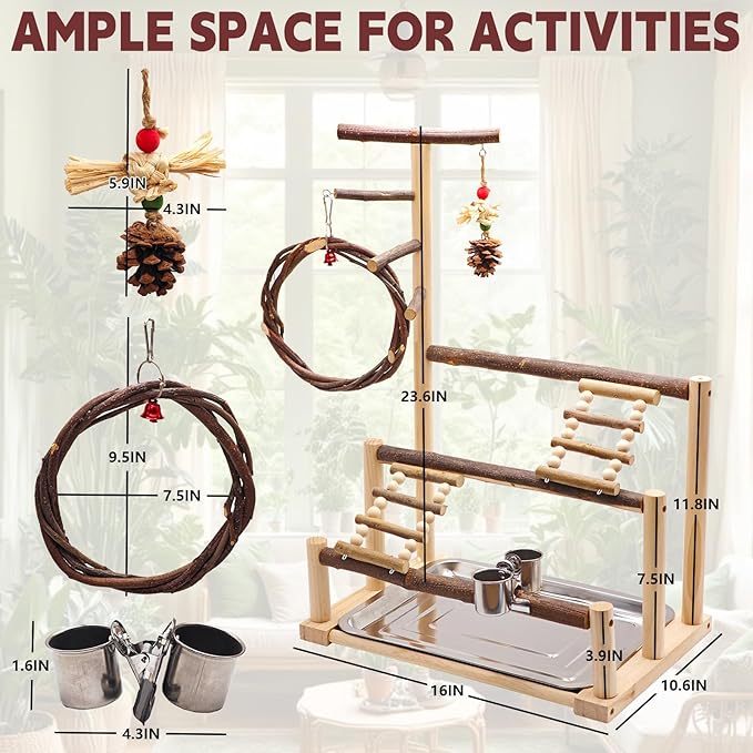 ‌Bird Playground, Natural Wooden Parrot Stand - Image 2
