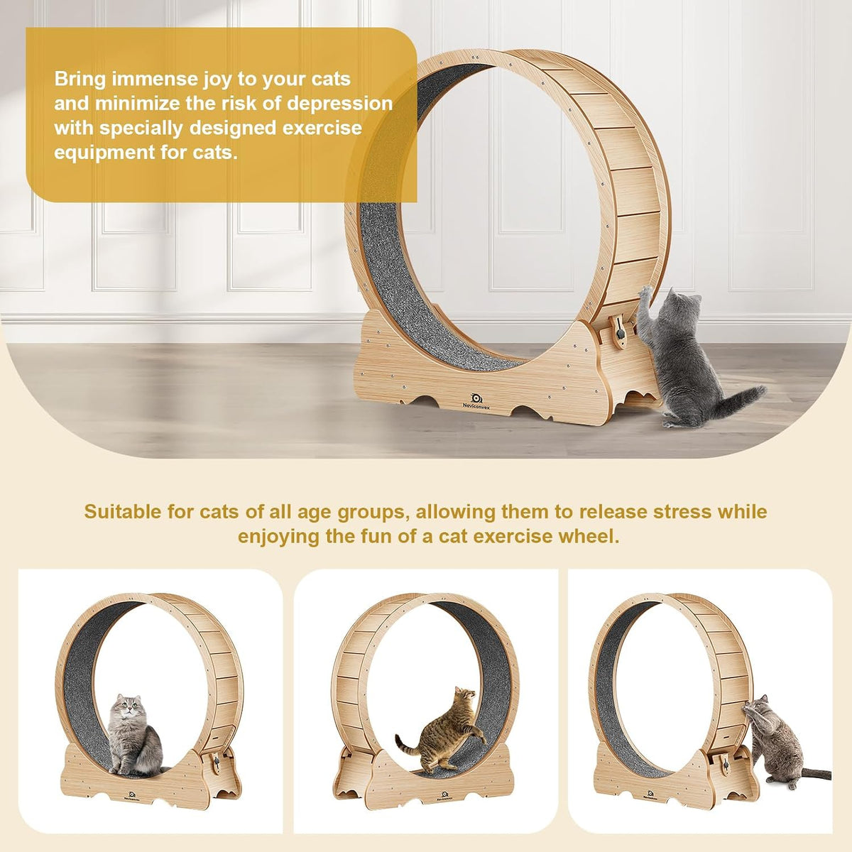 Cat Wheel, 46" XL Large Exercise Running Wheels with Detachable Carpet for Indoor Cats