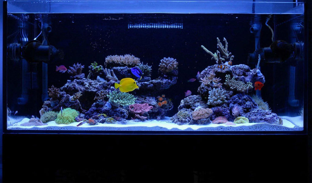 Upgraded Aquarium Light LED Full Spectrum 48-60 inch Foldable Hood Lamp for Freshwater Marine Plant Multi-Color Decorations Light (24"+24")