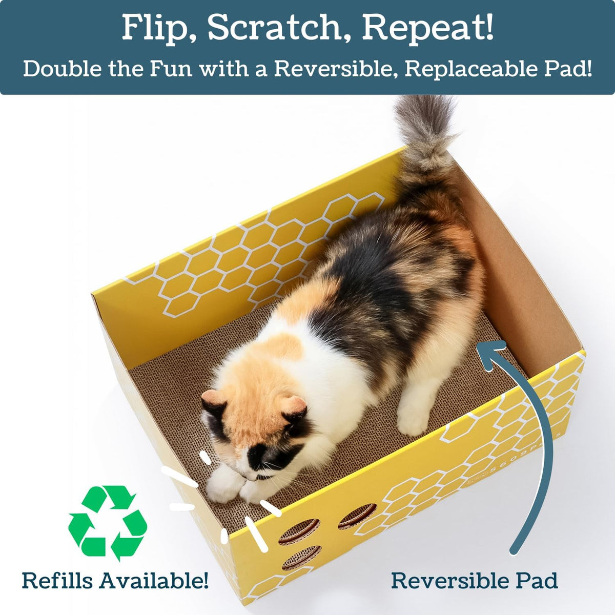 No-Mess Cardboard Cat Scratcher Box - Refillable Double-Sided Scratch Pad